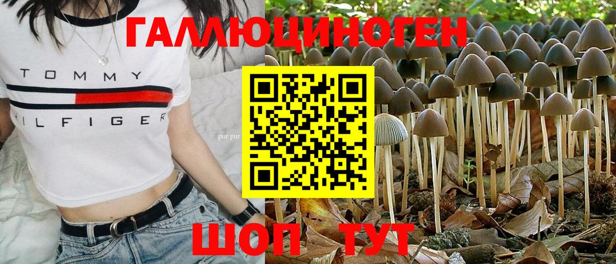 Псилоцибиновые грибы мухоморы Ангарск
