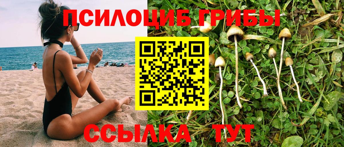 Ангарск  закладки  Псилоцибиновые грибы GOLDEN TEACHER  Вход с VPN  Псилоцибиновые грибы мухоморы 